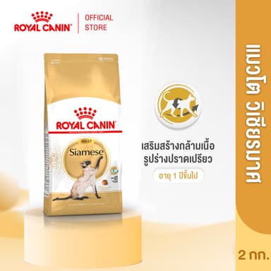 Royal Canin Siamese 2kg อาหารเม็ดแมวโต พันธุ์วิเชียรมาศ อายุ 12 เดือนขึ้นไป (Dry Cat Food, โรยัล คานิน)