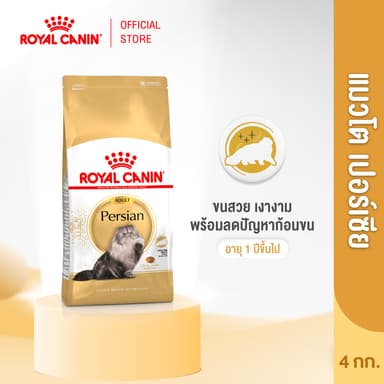 Royal Canin Persian Adult 4kg อาหารเม็ดแมวโต พันธุ์เปอร์เซียน อายุ 12 เดือนขึ้นไป (Dry Cat Food, โรยัล คานิน)