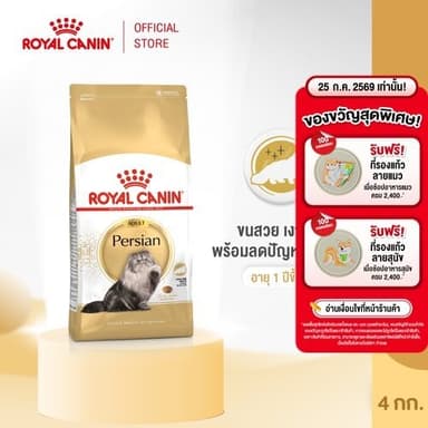 Royal Canin Persian Adult 4kg อาหารเม็ดแมวโต พันธุ์เปอร์เซียน อายุ 12 เดือนขึ้นไป (Dry Cat Food, โรยัล คานิน)