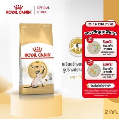 Royal Canin Siamese 2kg อาหารเม็ดแมวโต พันธุ์วิเชียรมาศ อายุ 12 เดือนขึ้นไป (Dry Cat Food, โรยัล คานิน)