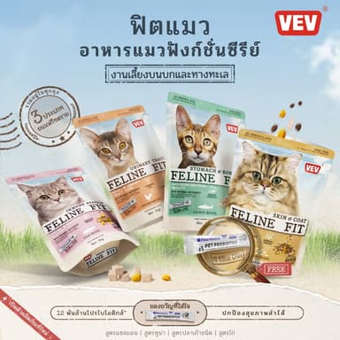 【🎁โปรไบโอติกส์ฟรี】VEV 🐈 แบ่งขาย 1 kg. Premium Cat Food Gluten Free