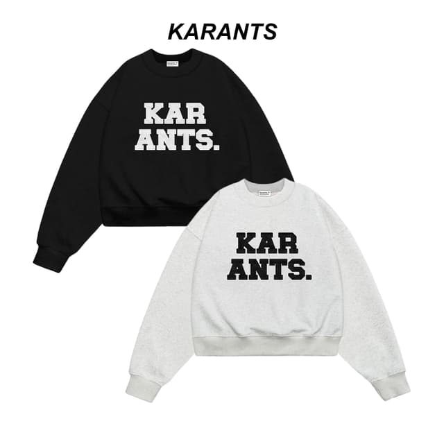 (สินค้าใหม่) Karants เสื้อสเวตเตอร์ทรง Cropped Boxy ปักลายขน