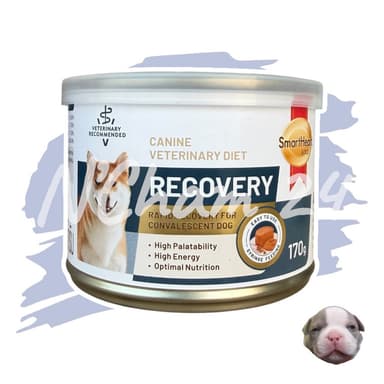โปรดอ่านก่อนสั่ง Smart Heart Gold Recovery Dog อาหารสุนัขป่วย พักฟื้น ขนาด170g./กระป๋อง
