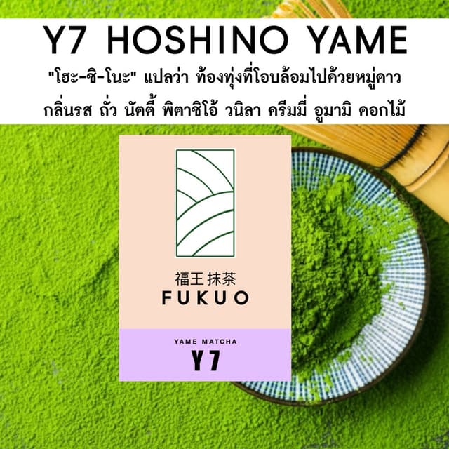(Fukuo) Y7 HOSHINO YAME Ceremonial grade มัทฉะ โทนถั่ว จากญี