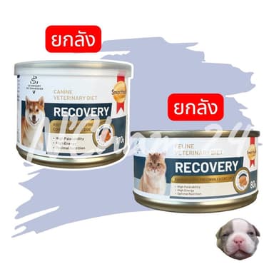 โปรดอ่านก่อนสั่ง (ยกลัง) Smartheart Gold Recovery 80/170g สุนัขและแมว อาหารเปียก สัตว์ป่วย พักฟื้น