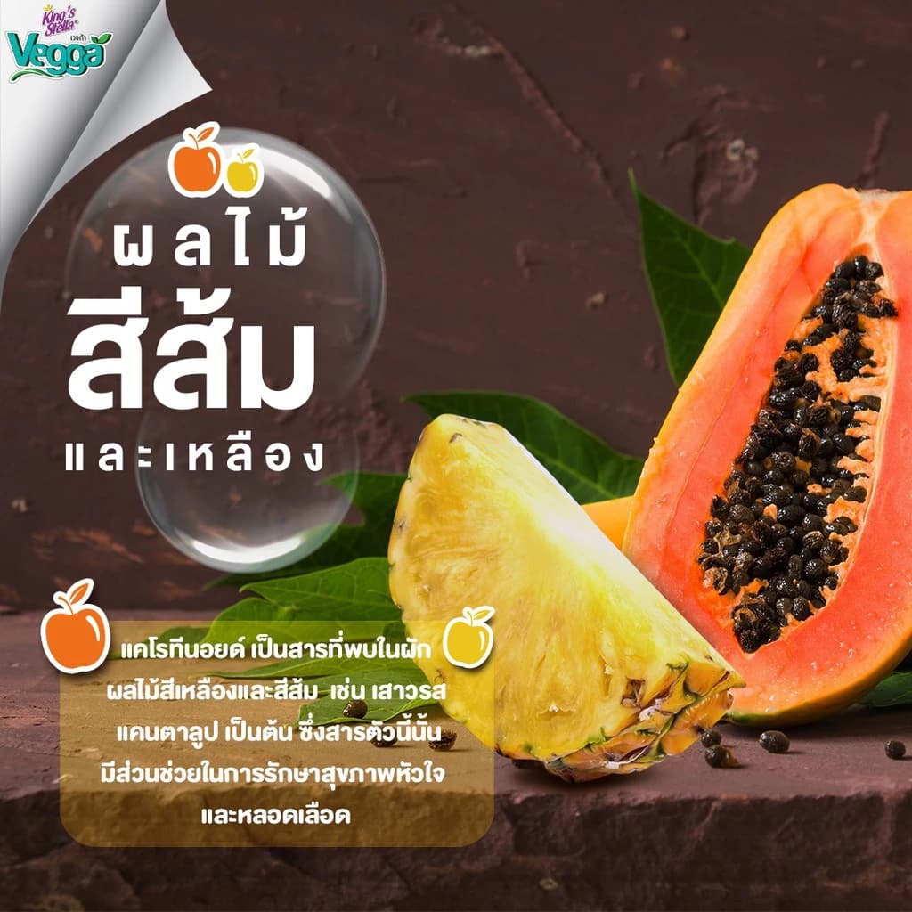 King's Stella (คิงส์สเตลล่า) Vegga เวจก้า น้ำยาล้างผักผลไม้ สูตรธรรมชาติ กำจัดไข่พยาธิ ล้างสารพิษตกค้างได้ถึง 95-99% https://wayoza.com