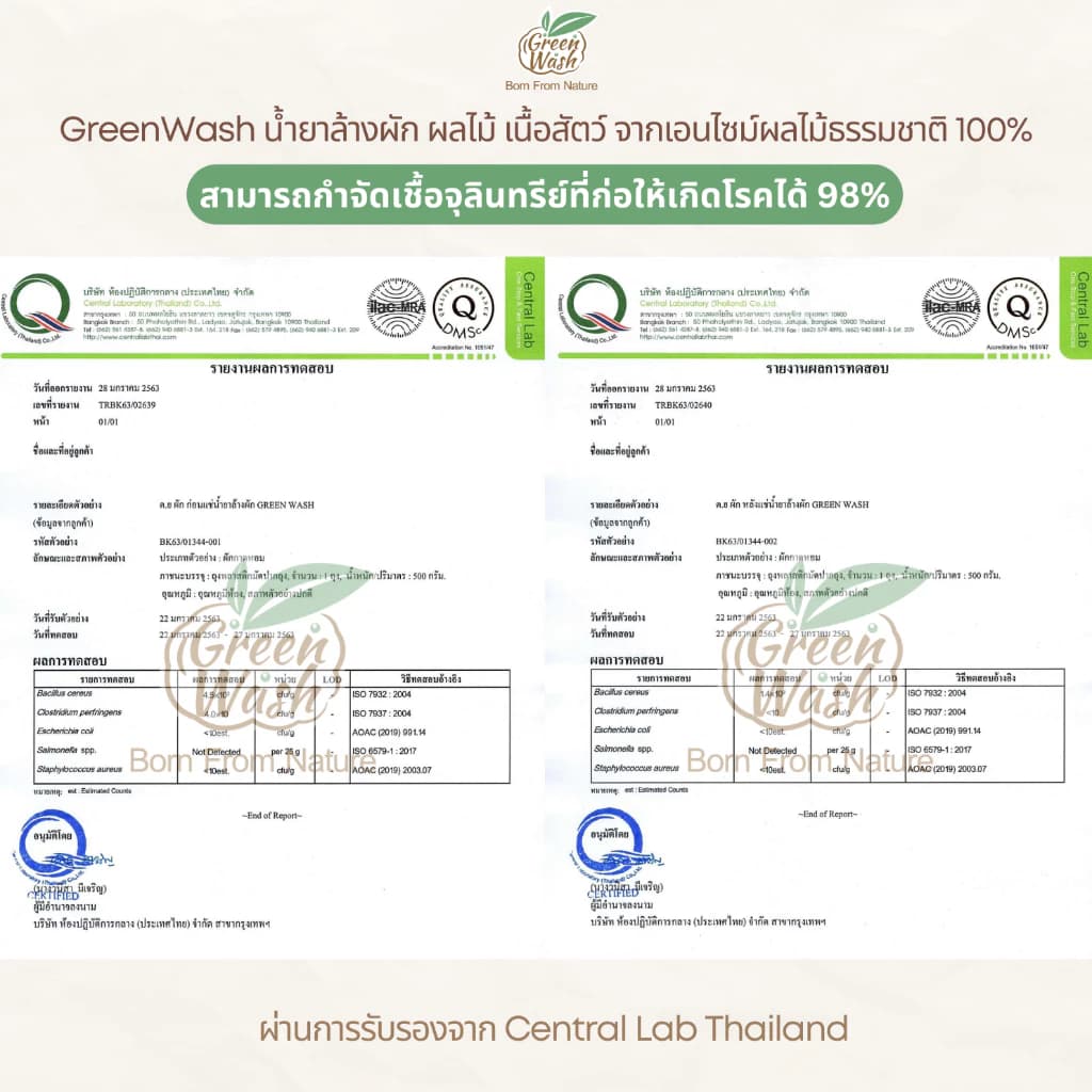 GreenWash Fruit and Vegetable Wash น้ำยาล้างผักผลไม้และเนื้อสัตว์ จากเอนไซม์ผลไม้ ขนาด 400 มล. https://wayoza.com