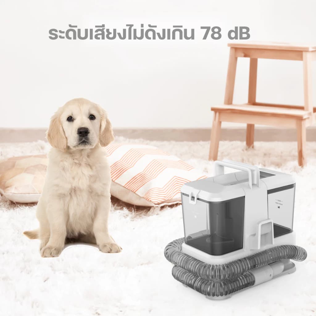 Homemi HM0072-P-WH เครื่องทำความสะอาดพรม Carpet Cleaner Lite แรงดูดสูง 330 วัตต์ แห้งไว https://wayoza.com