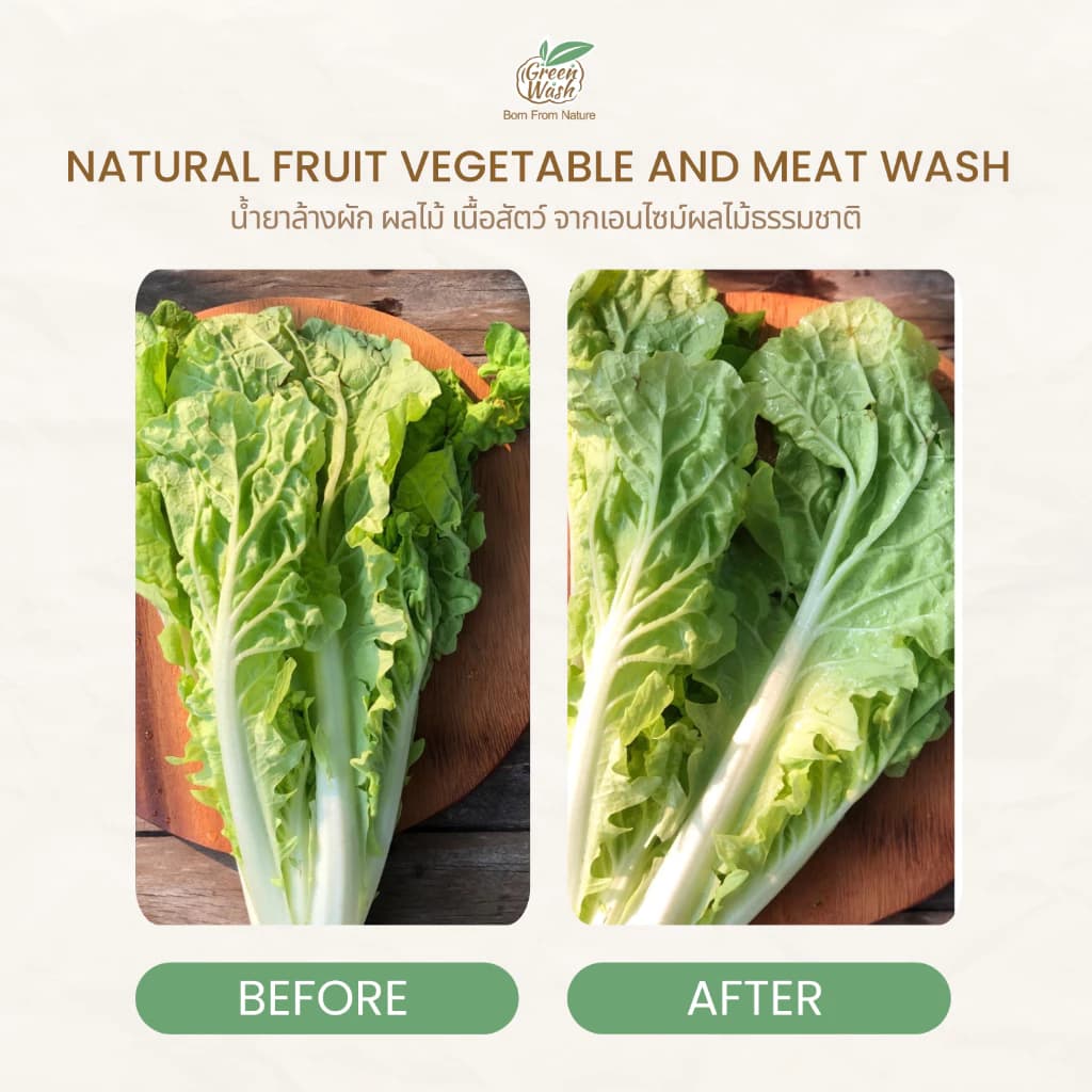 GreenWash Fruit and Vegetable Wash น้ำยาล้างผักผลไม้และเนื้อสัตว์ จากเอนไซม์ผลไม้ ขนาด 400 มล. https://wayoza.com