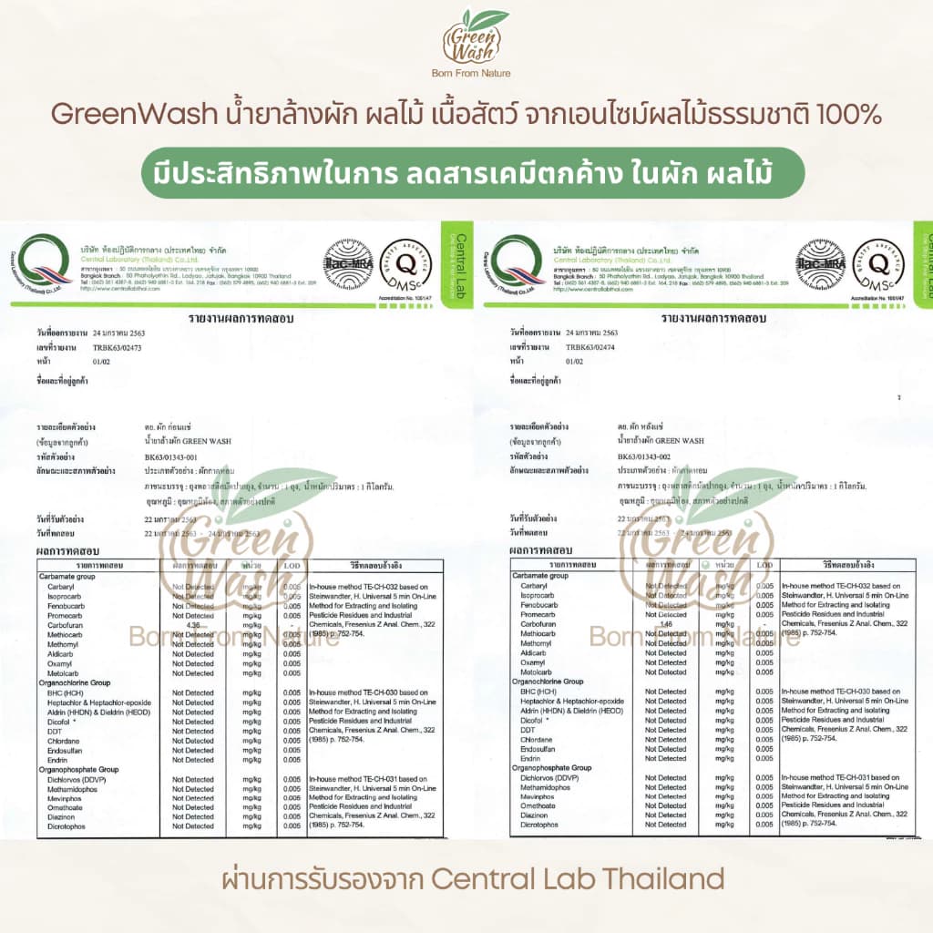 GreenWash Fruit and Vegetable Wash น้ำยาล้างผักผลไม้และเนื้อสัตว์ จากเอนไซม์ผลไม้ ขนาด 400 มล. https://wayoza.com