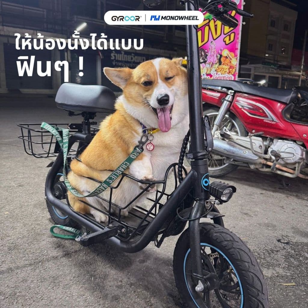 Gyroor C1S สกู๊ตเตอร์ไฟฟ้ารุ่นใหม่ที่มีการติดเบาะพร้อมตะกร้าหน้า-หลัง สกู๊ตเตอร์ไฟฟ้าแบบนั่ง เครื่องศูนย์ MONOWHEEL https://wayoza.com